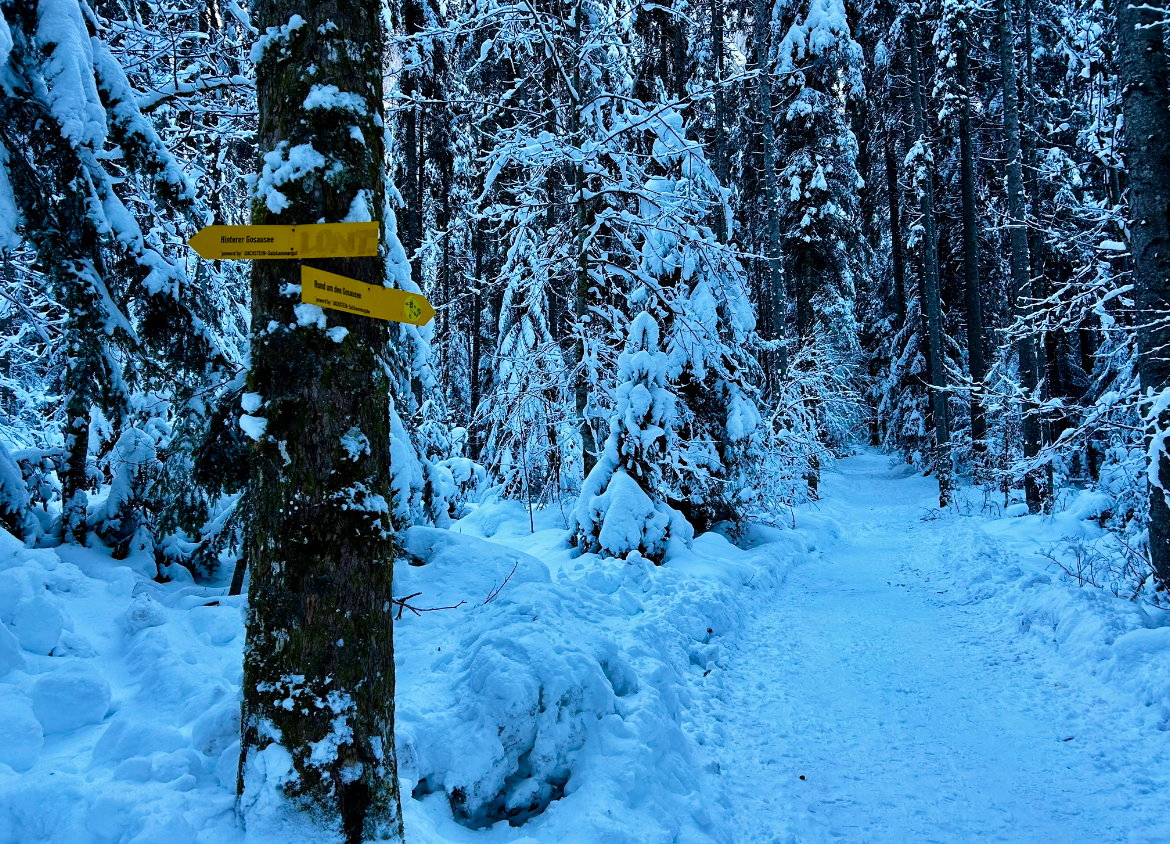 Zimní výlet ke Gosausee 