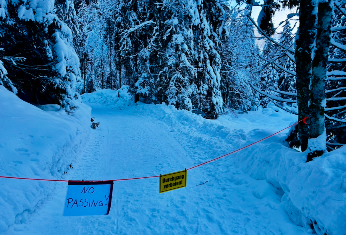 Zimní výlet ke Gosausee 