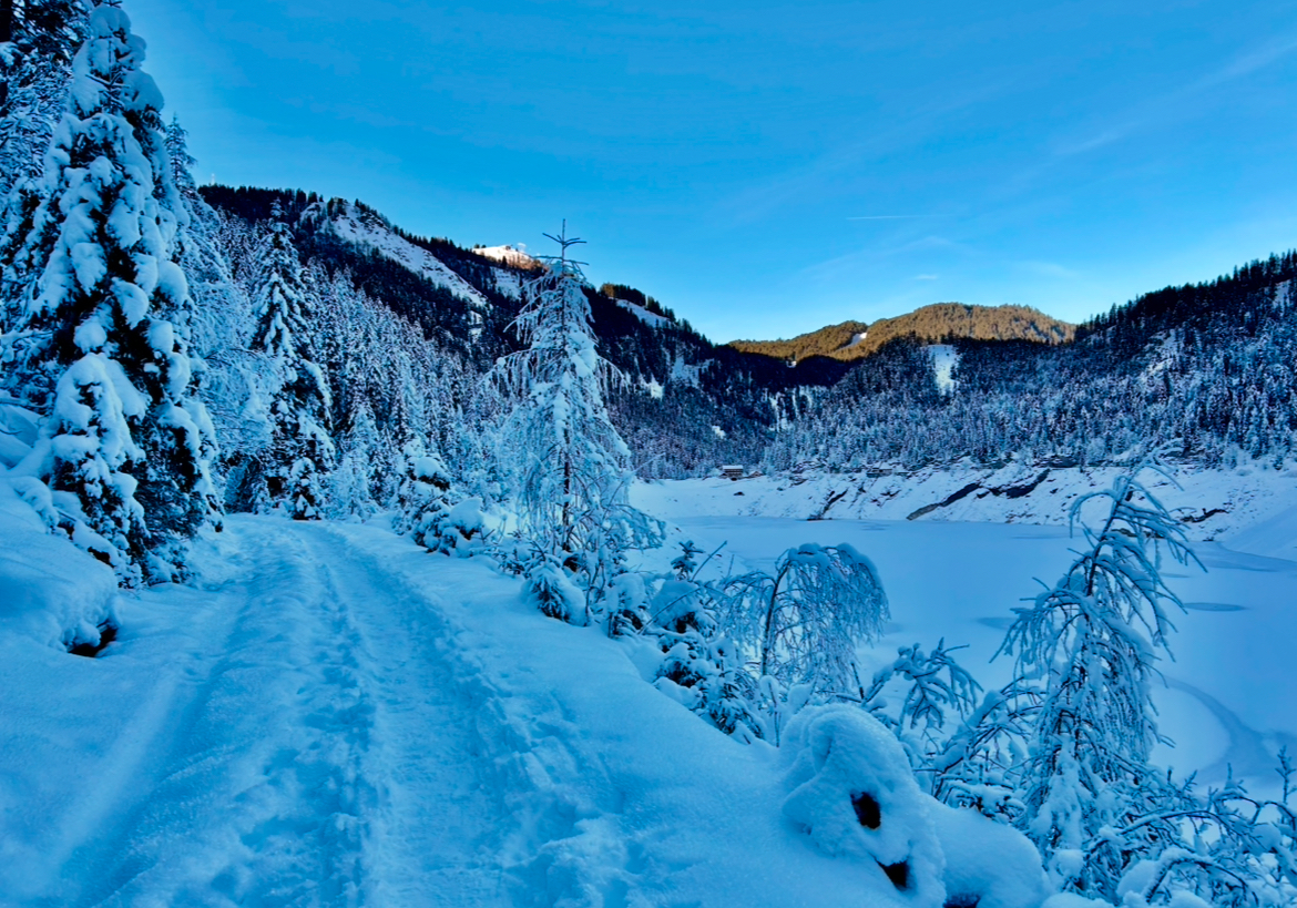 Zimní výlet ke Gosausee 