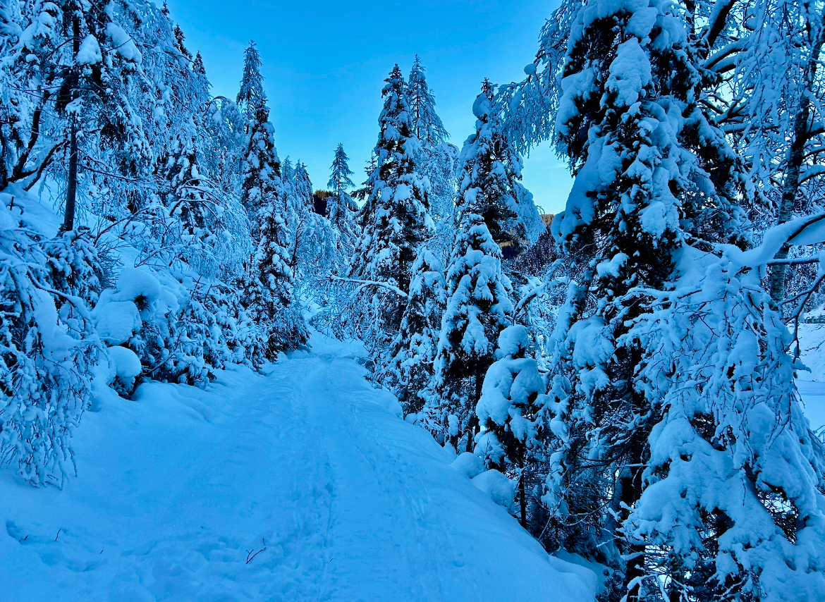 Zimní výlet ke Gosausee 