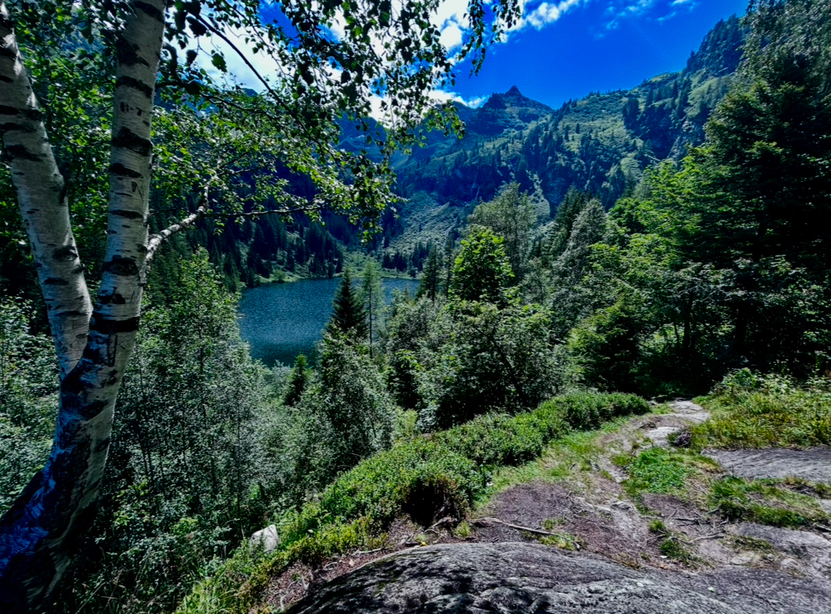 Tříjezerní stezka - Hütensee 