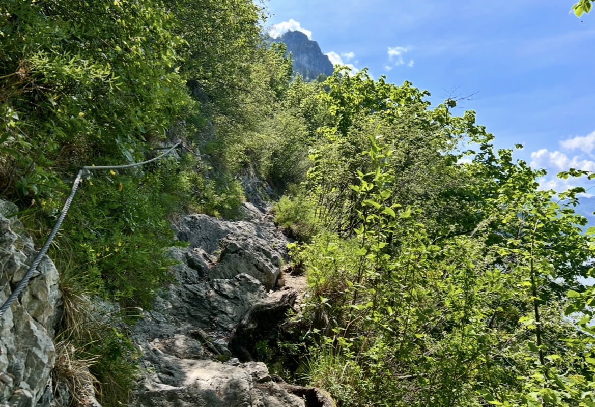Stezka Miesweg Traunsee