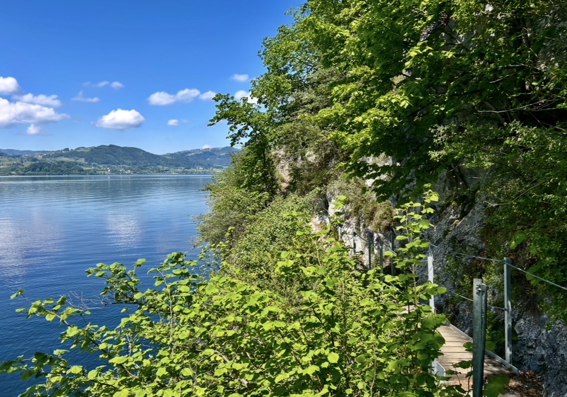 Stezka Miesweg Traunsee