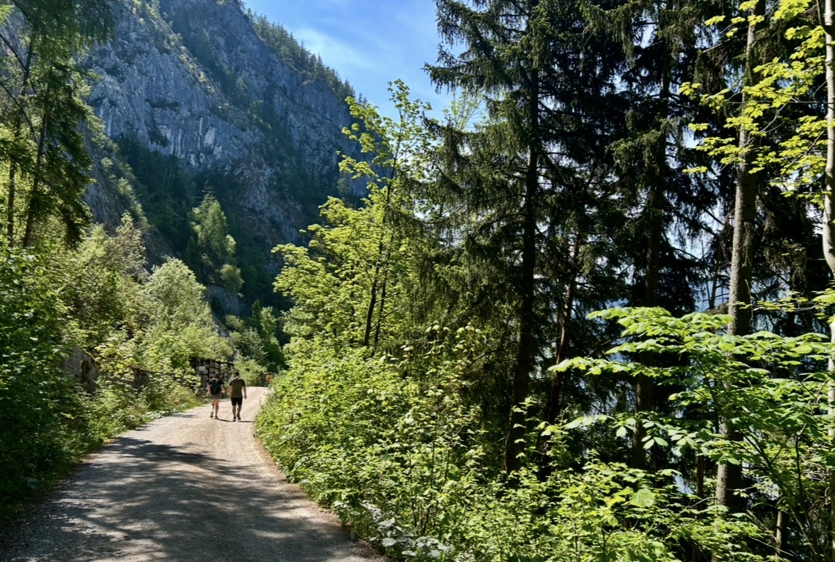 Stezka Miesweg Traunsee