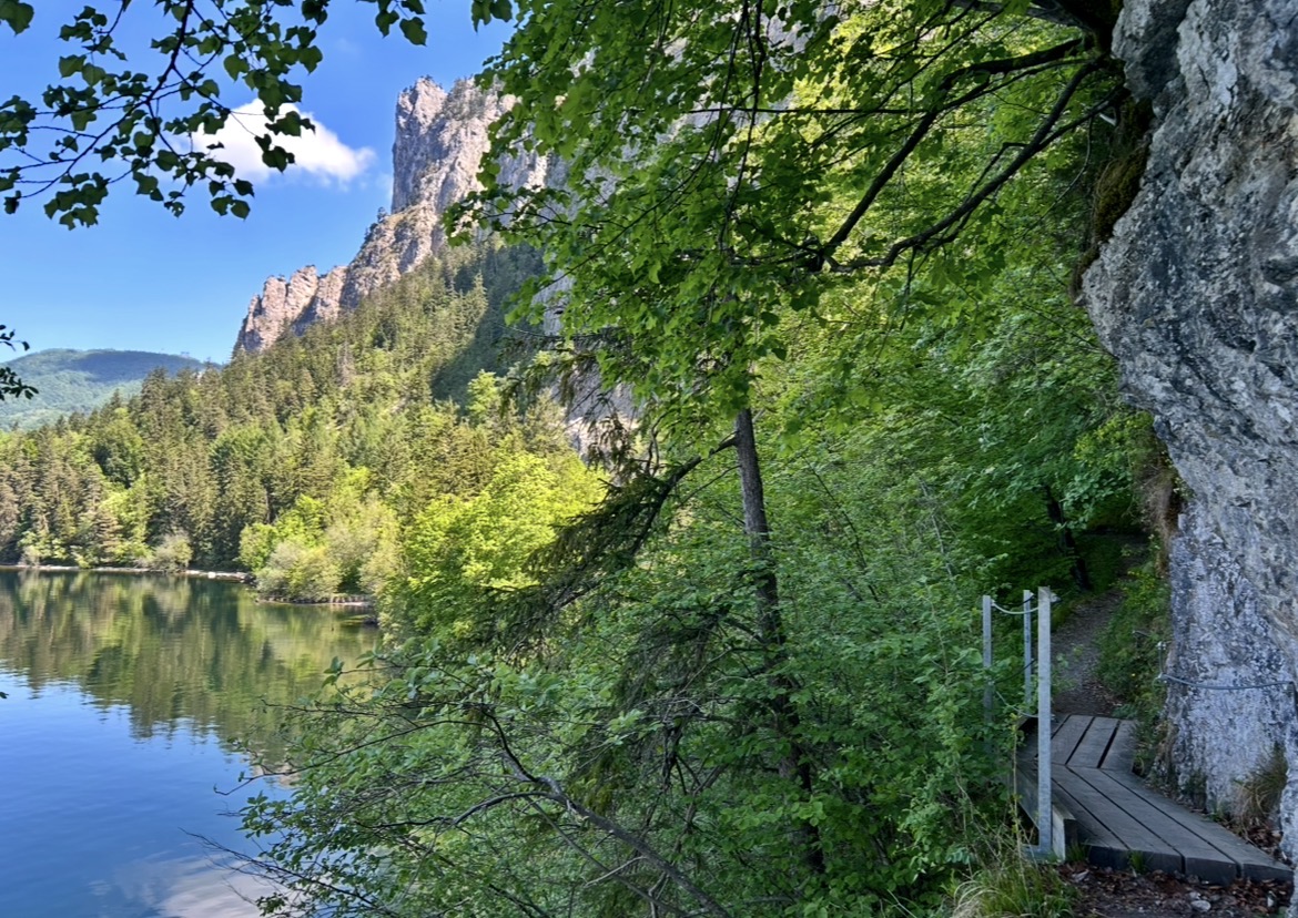 Stezka Miesweg Traunsee
